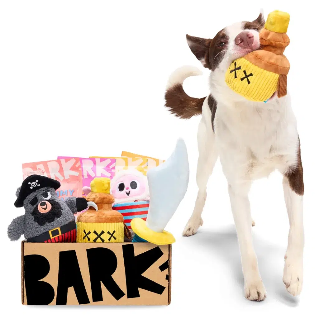 Juguetes absurdos para perros vendidos por BarkBox